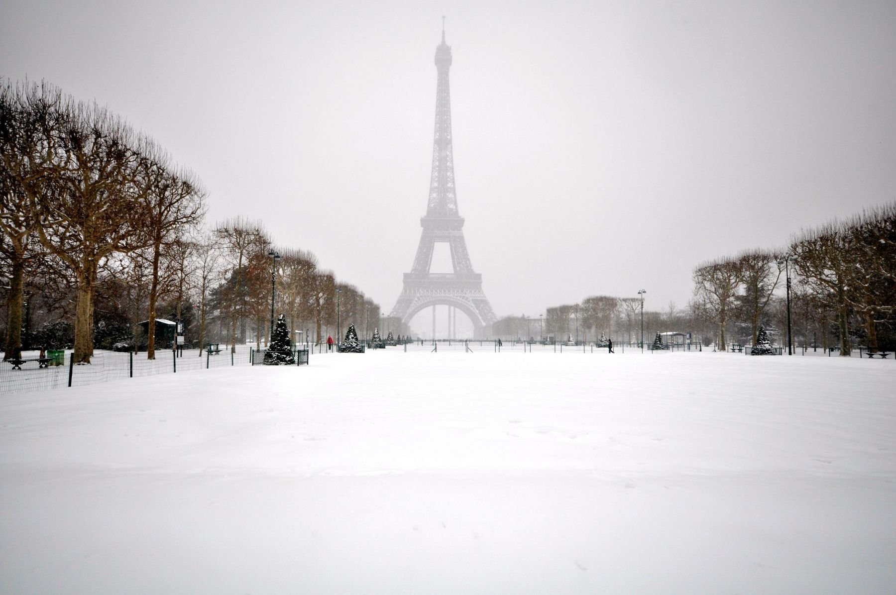 Pure White